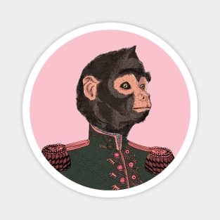 oficial monkey Magnet